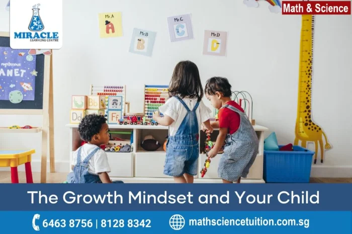 Boost Your Child's Math Skills