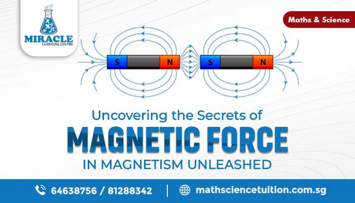 Dive Into the Magnetism World to Unlock Invisible Force!