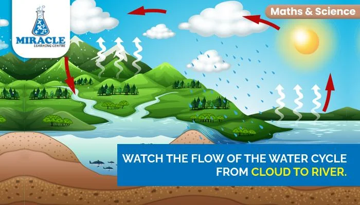 Discover Water Cycle stages