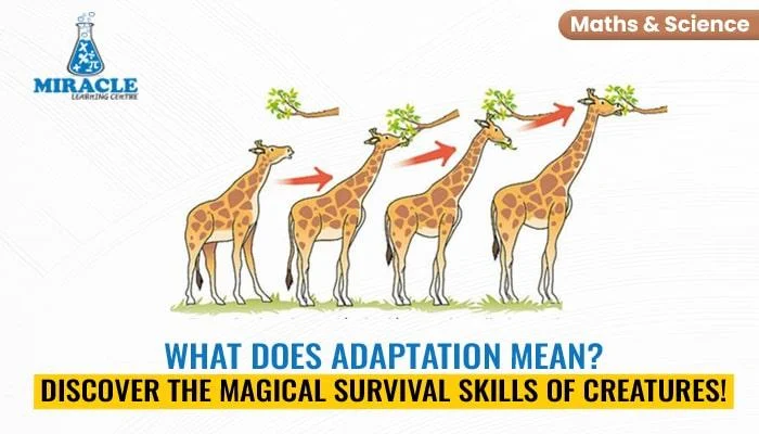 Study the Basics of Adaptation with Our Science tuition