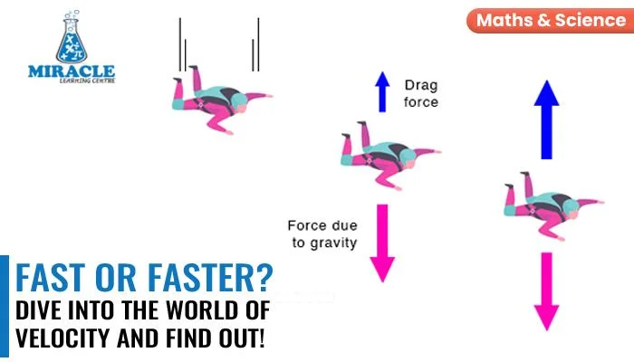 What is Velocity & The Fundamentals of Velocity