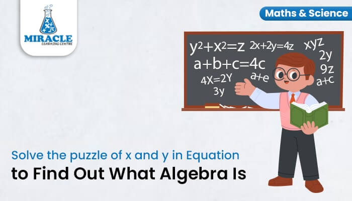 Equation in Algebra