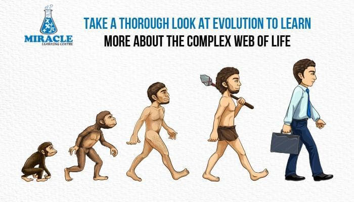 Overview on Evolution