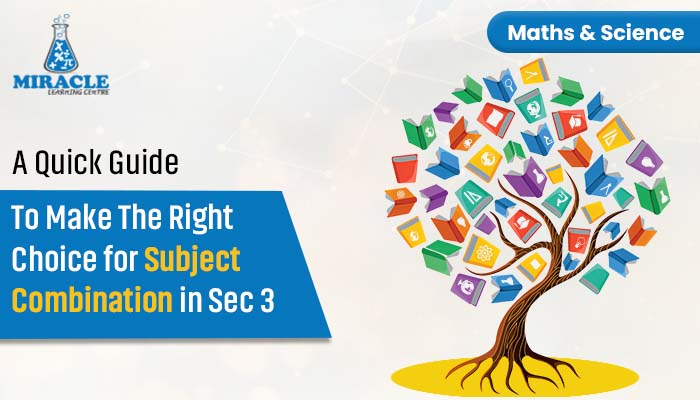 A Quick Guide To Make The Right Choice for Subject Combination in Sec 3