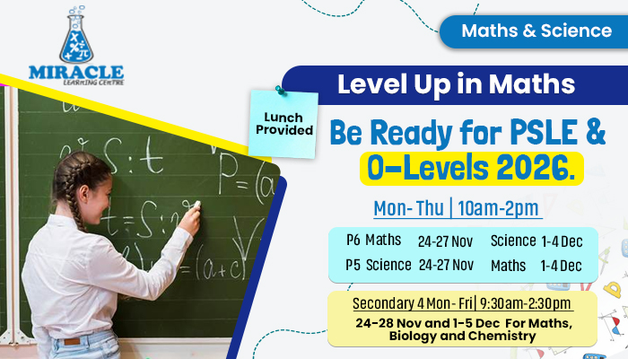 Crash Course Singapore