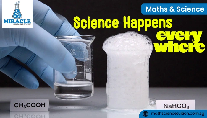 simple science experiments primary school Singapore